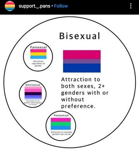 bisexual vs pansexual|Pansexual and Bisexual: What is the difference 